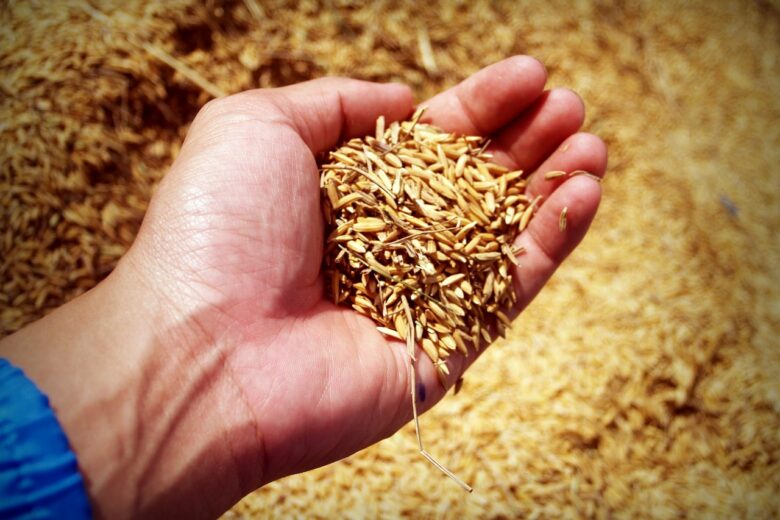 Exploitant agricole