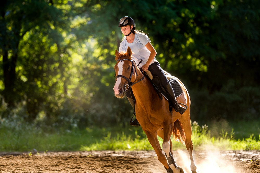 équitation adulte et enfantsè