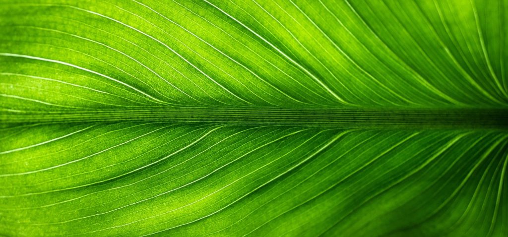 découvrez notre sélection d'appareils électroménagers écologiques qui allient performance et respect de l'environnement. optez pour des solutions durables et économisez de l'énergie tout en réduisant votre empreinte carbone.